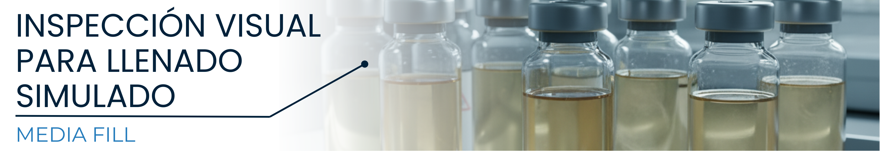 Inspección Visual